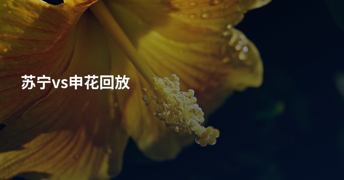 苏宁vs申花回放