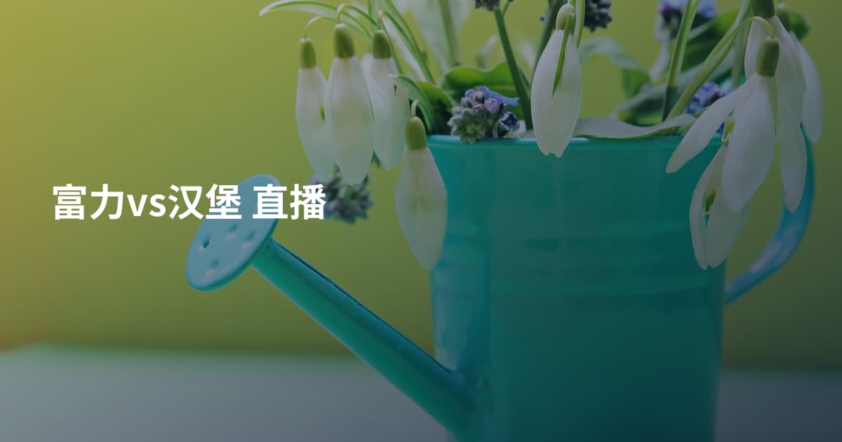 富力vs汉堡 直播