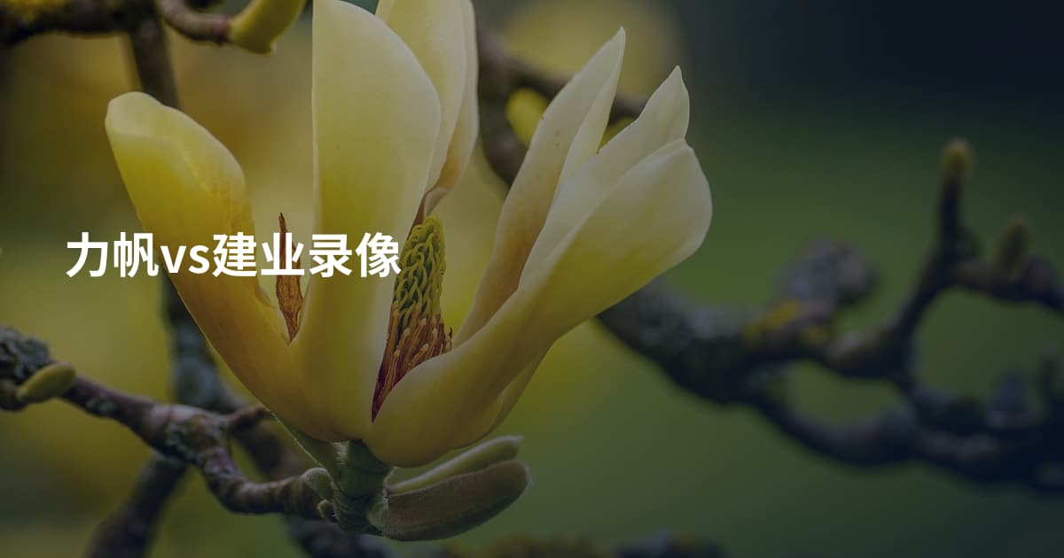 力帆vs建业录像