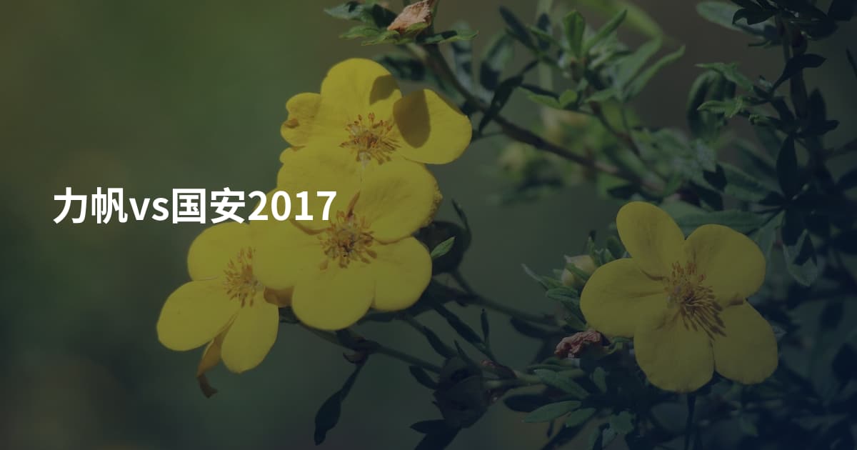 力帆vs国安2017