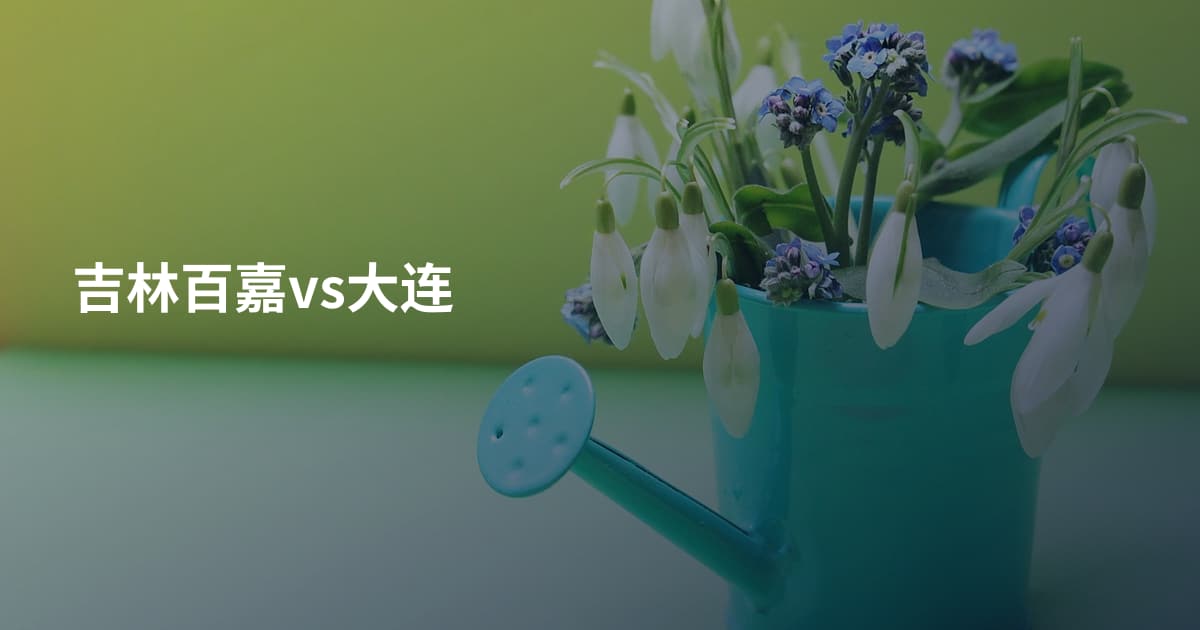 吉林百嘉vs大连