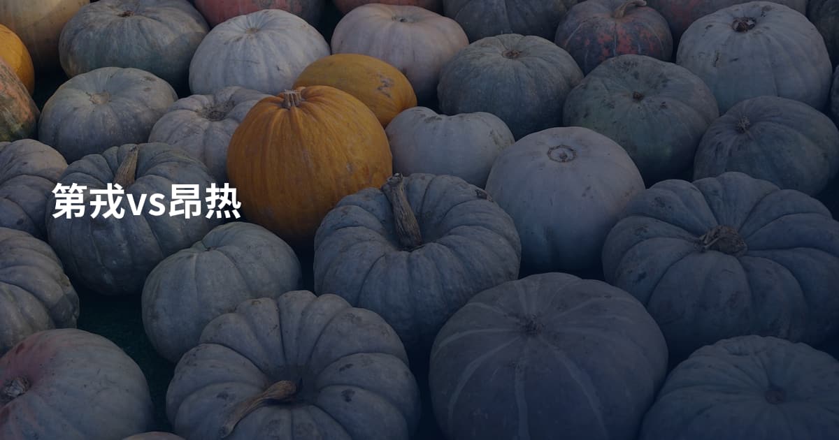 第戎vs昂热