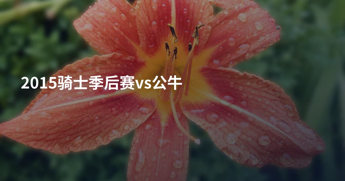 2015骑士季后赛vs公牛