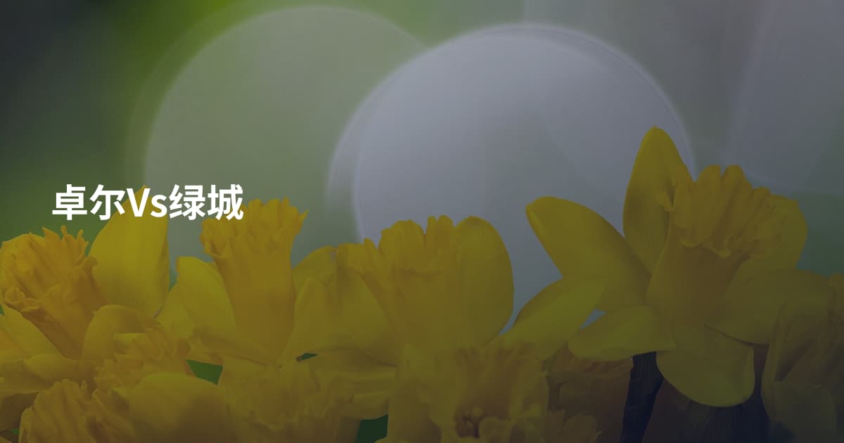卓尔Vs绿城