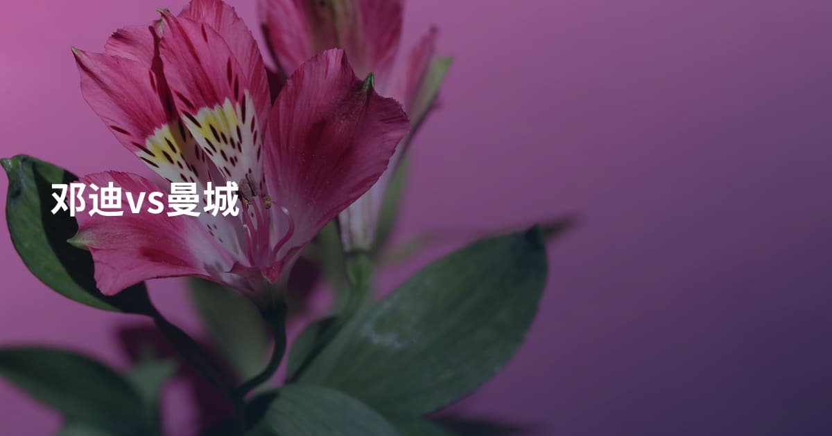 邓迪vs曼城