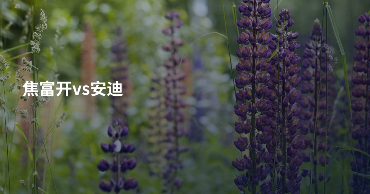 焦富开vs安迪