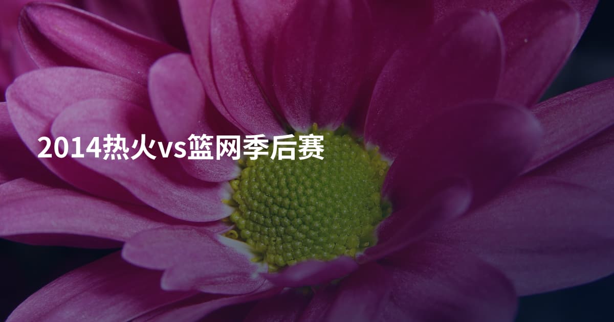 2014热火vs篮网季后赛