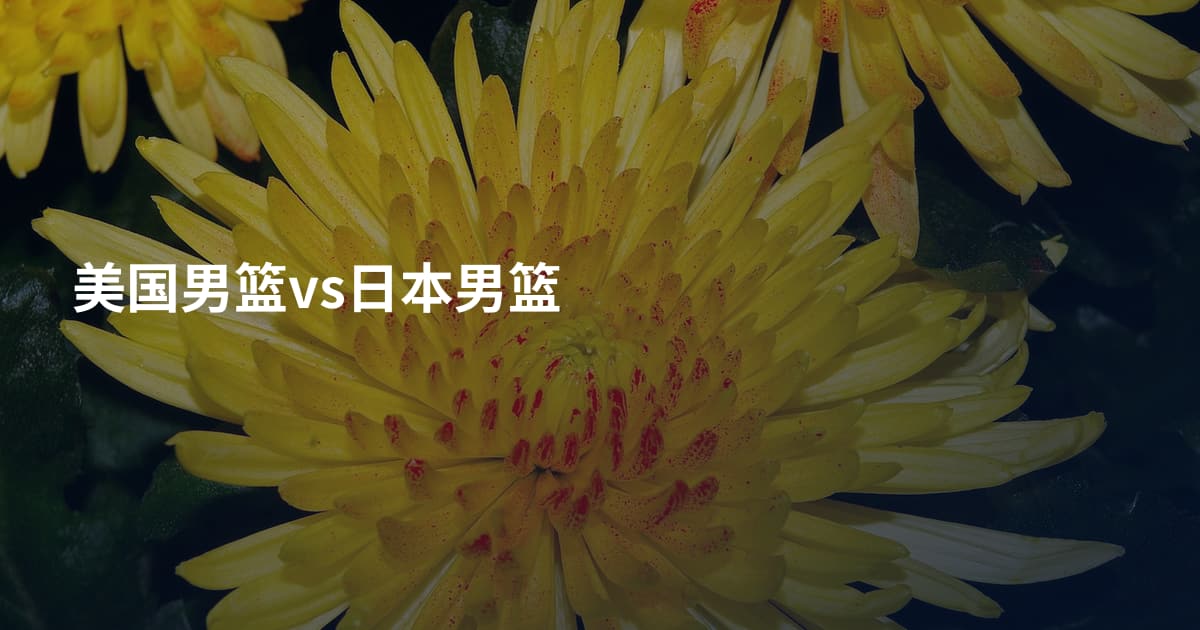 美国男篮vs日本男篮