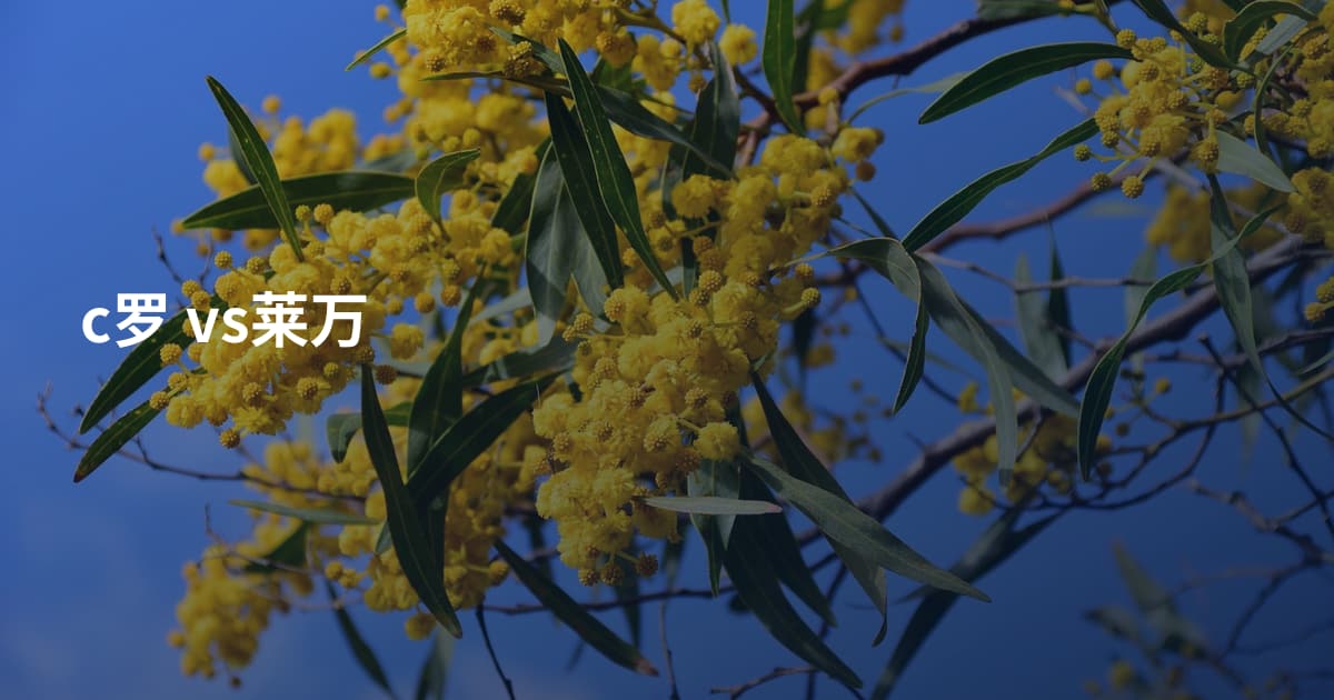 c罗 vs莱万