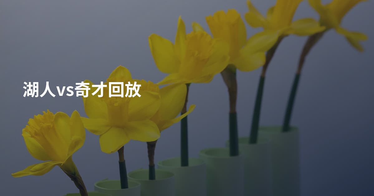 湖人vs奇才回放