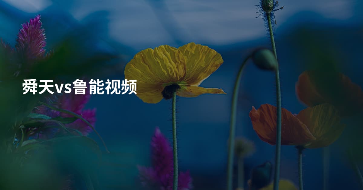 舜天vs鲁能视频