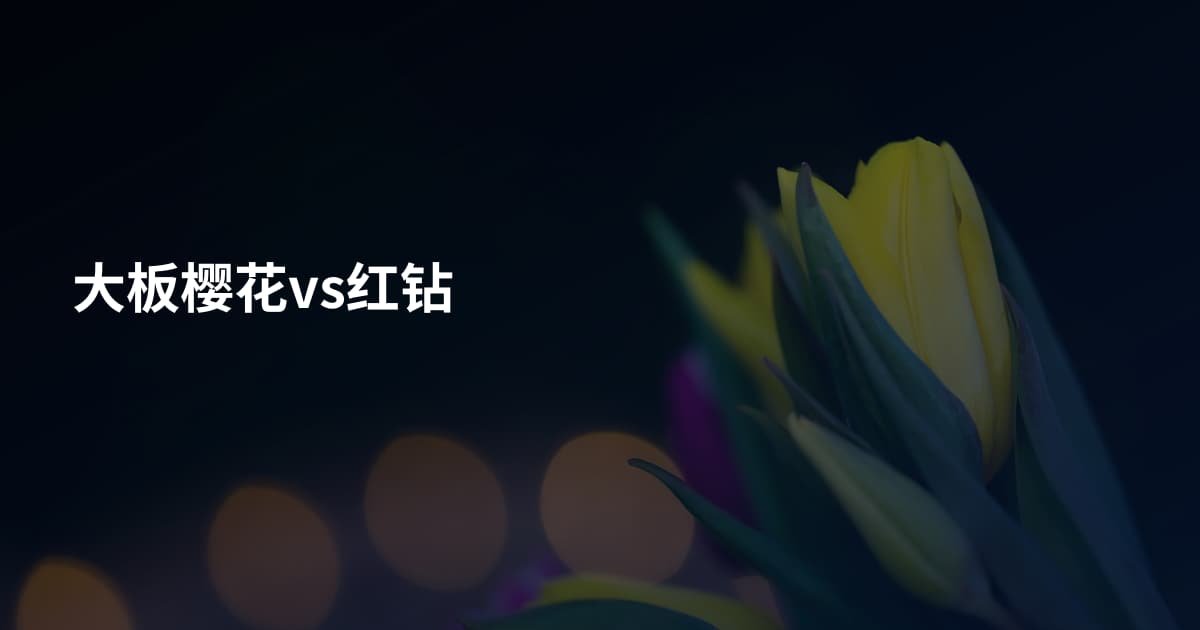 大板樱花vs红钻
