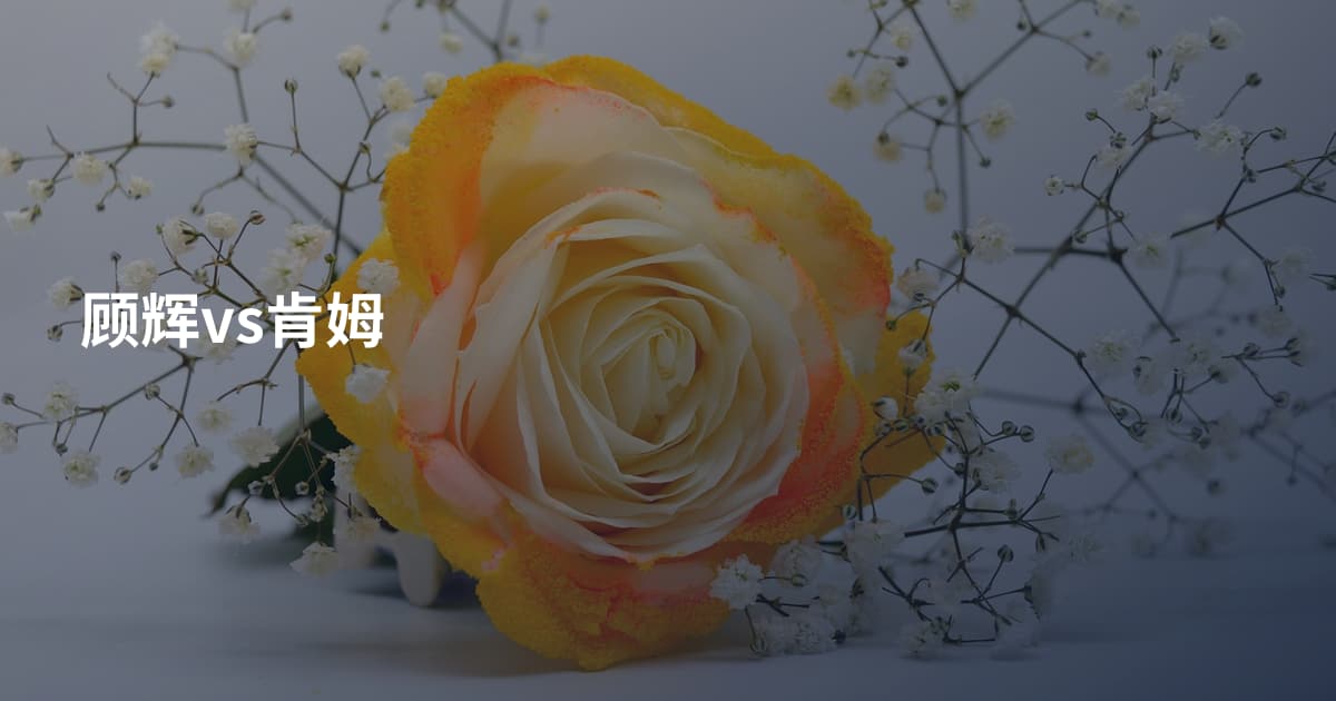 顾辉vs肯姆