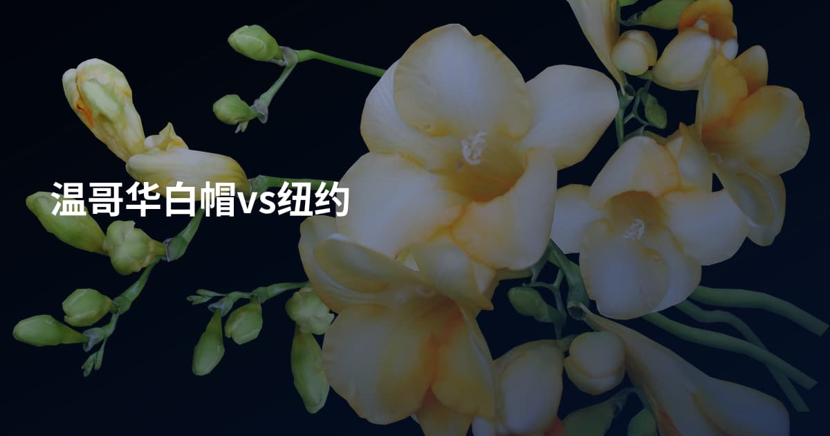温哥华白帽vs纽约