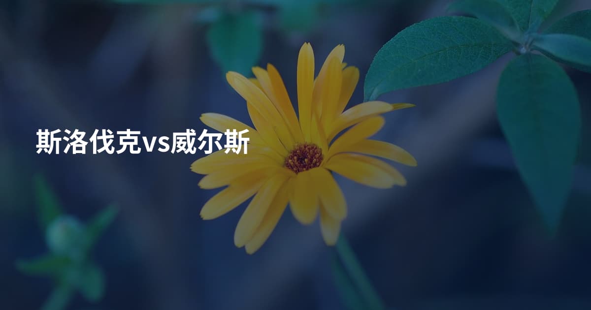 斯洛伐克vs威尔斯