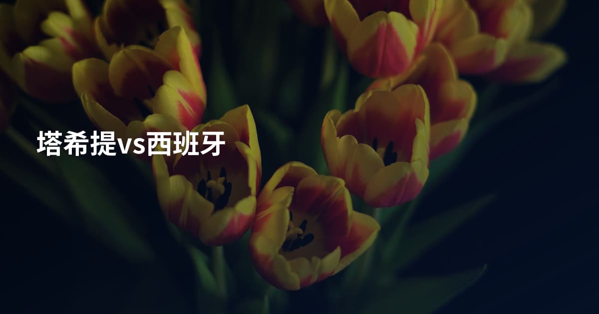 塔希提vs西班牙
