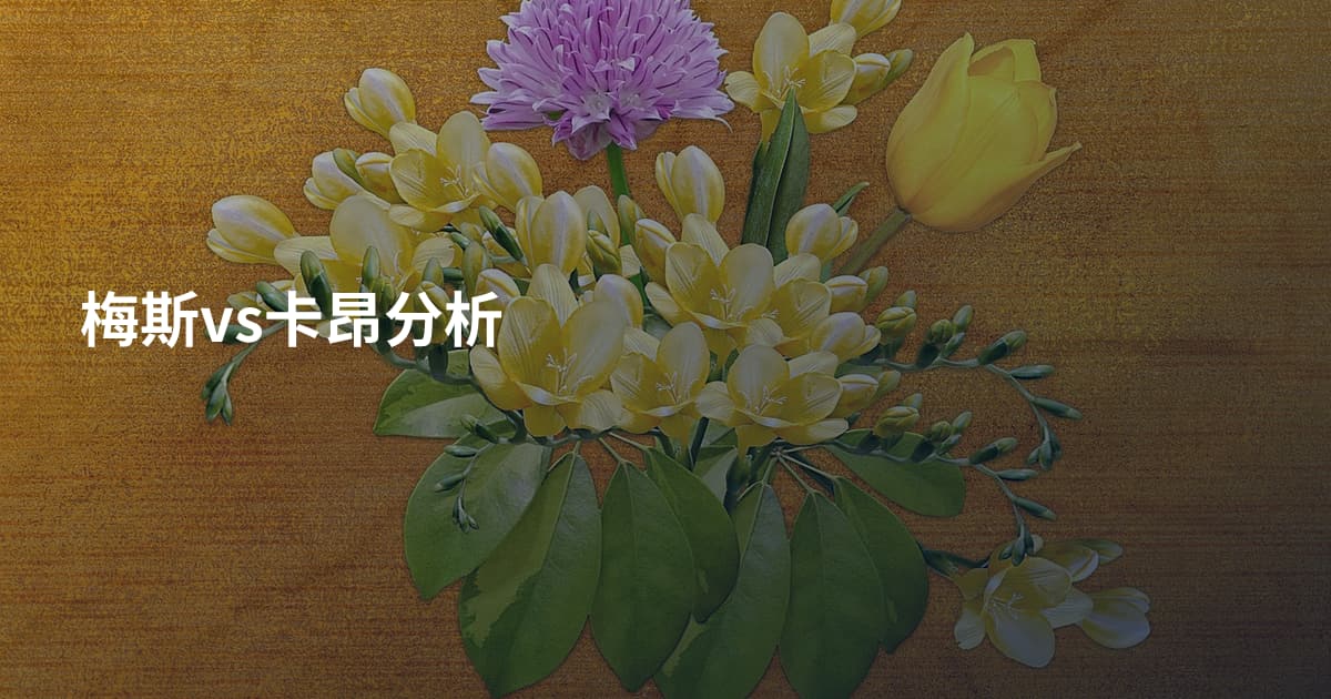 梅斯vs卡昂分析
