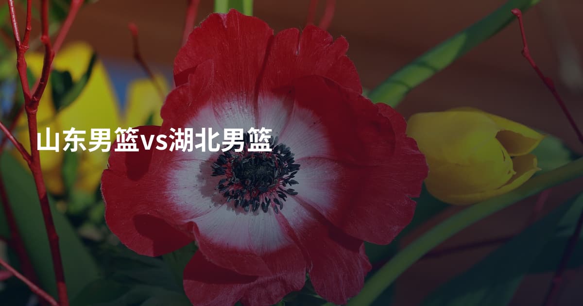 山东男篮vs湖北男篮