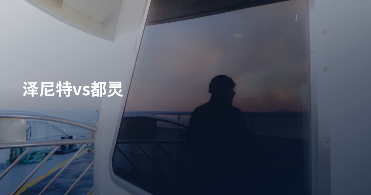 泽尼特vs都灵