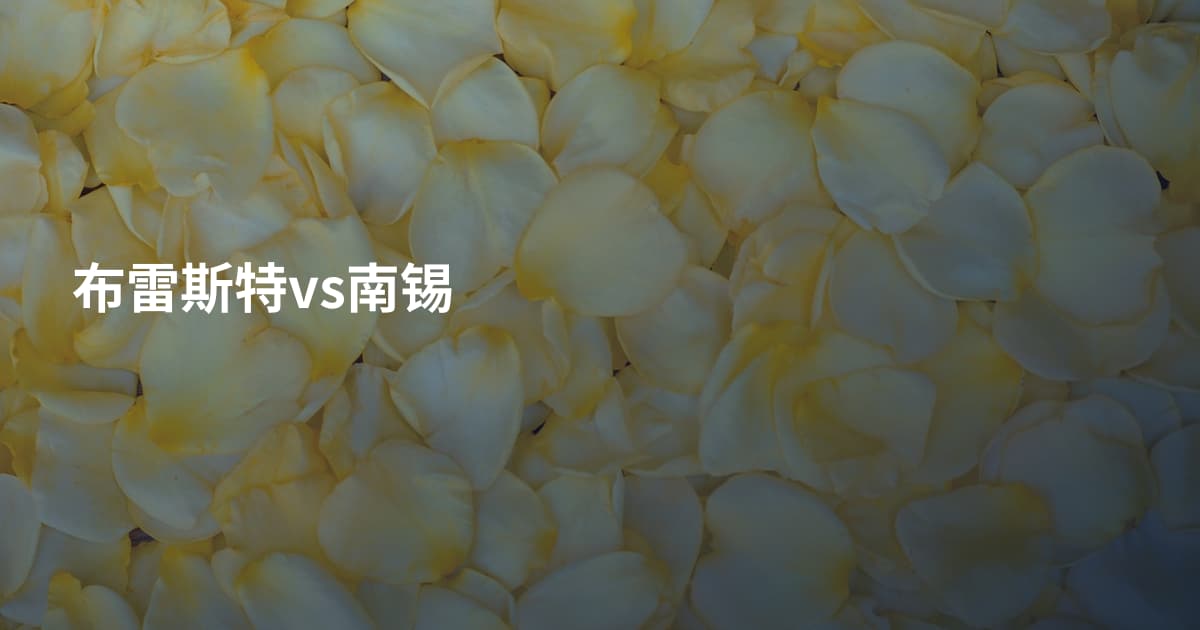 布雷斯特vs南锡