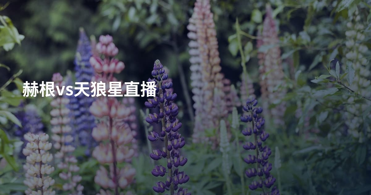 赫根vs天狼星直播