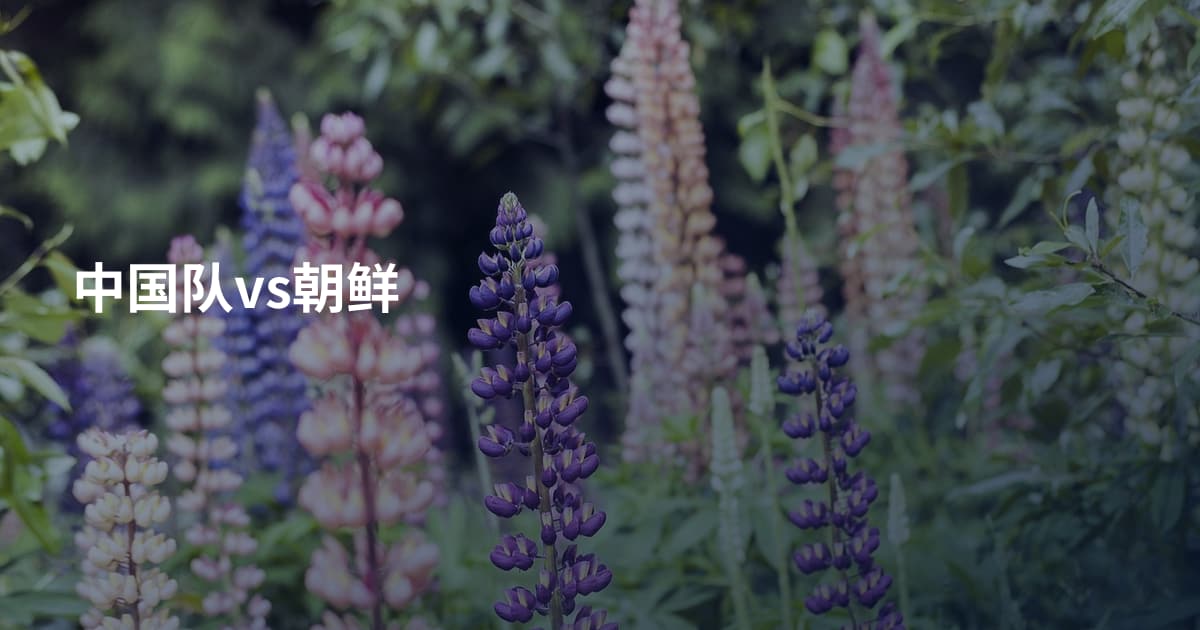 中国队vs朝鲜
