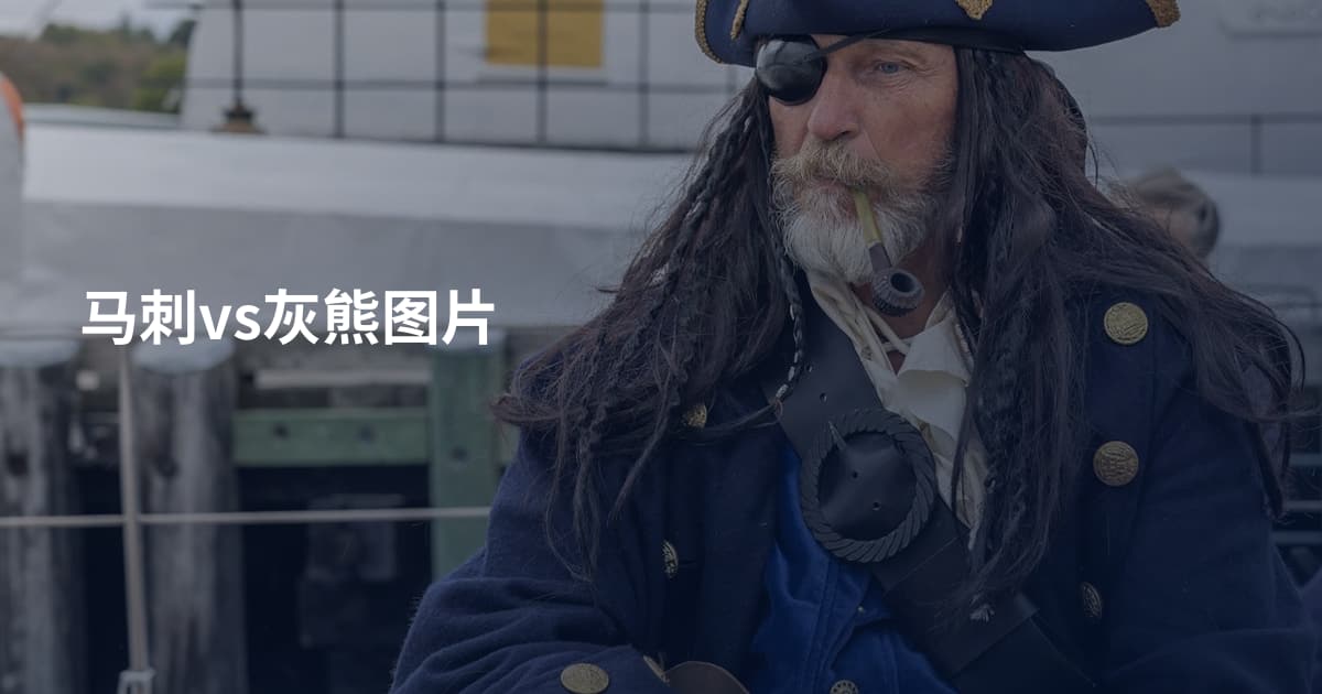 马刺vs灰熊图片
