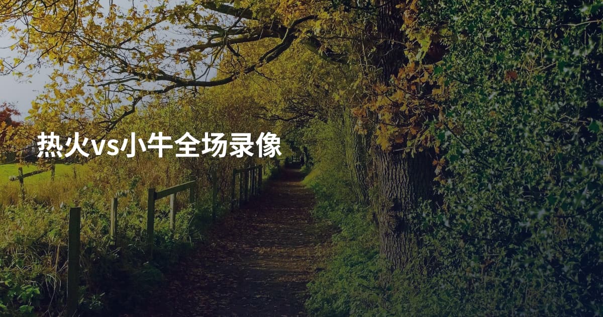 热火vs小牛全场录像
