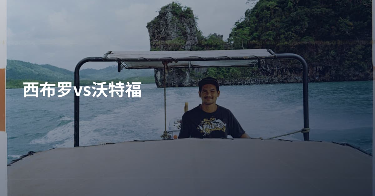 西布罗vs沃特福