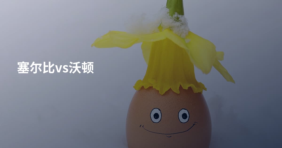 塞尔比vs沃顿