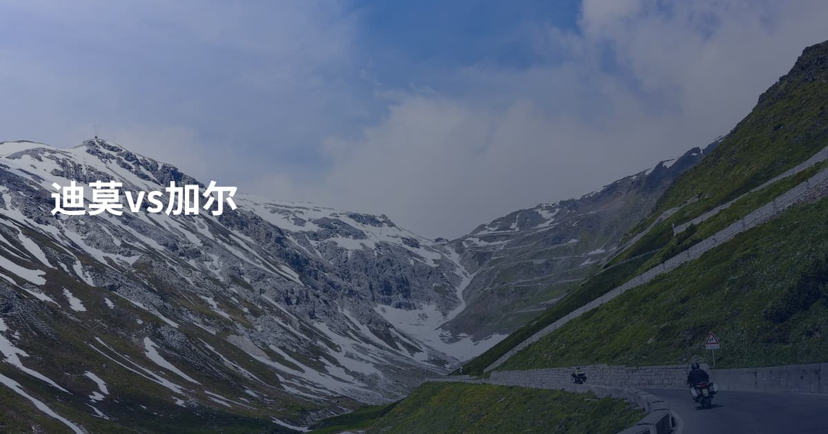 迪莫vs加尔