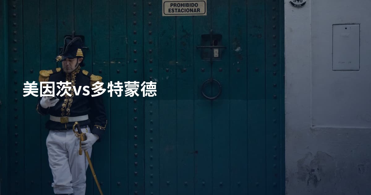 美因茨vs多特蒙德