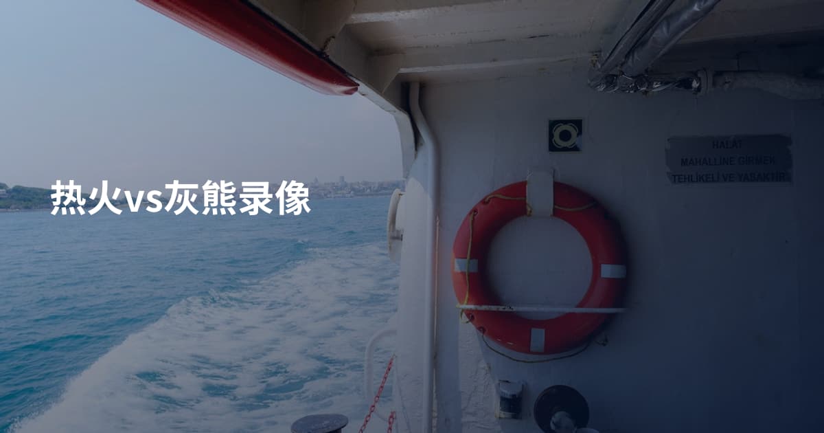 热火vs灰熊录像