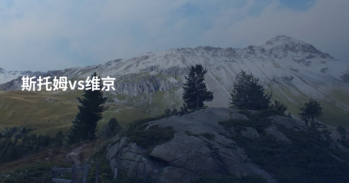 斯托姆vs维京