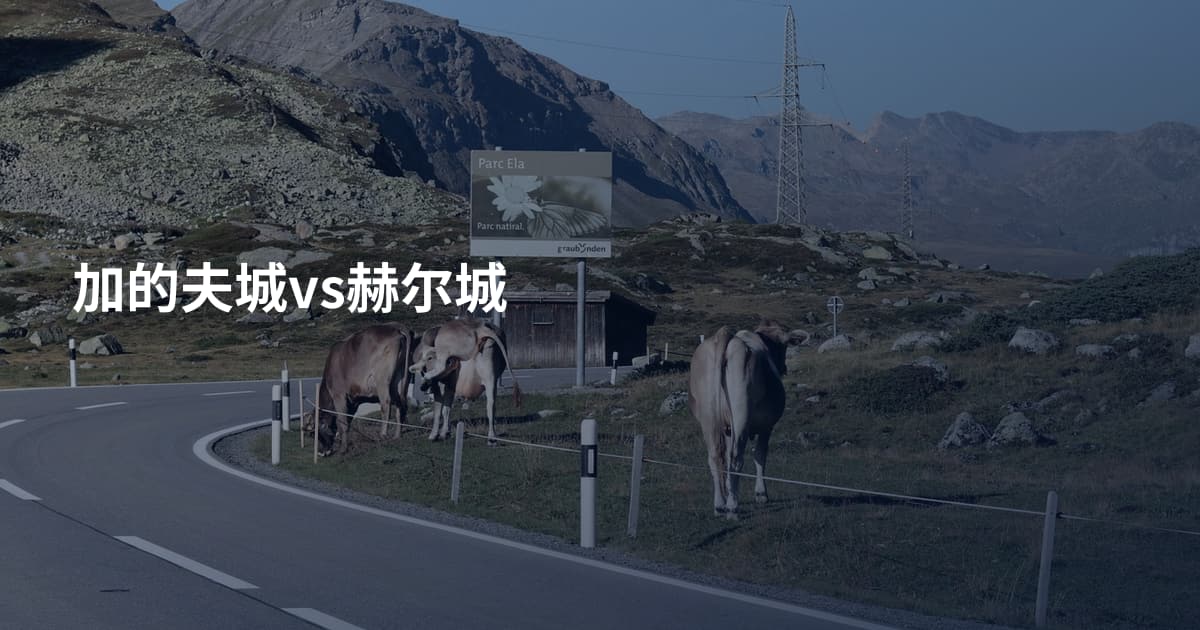 加的夫城vs赫尔城