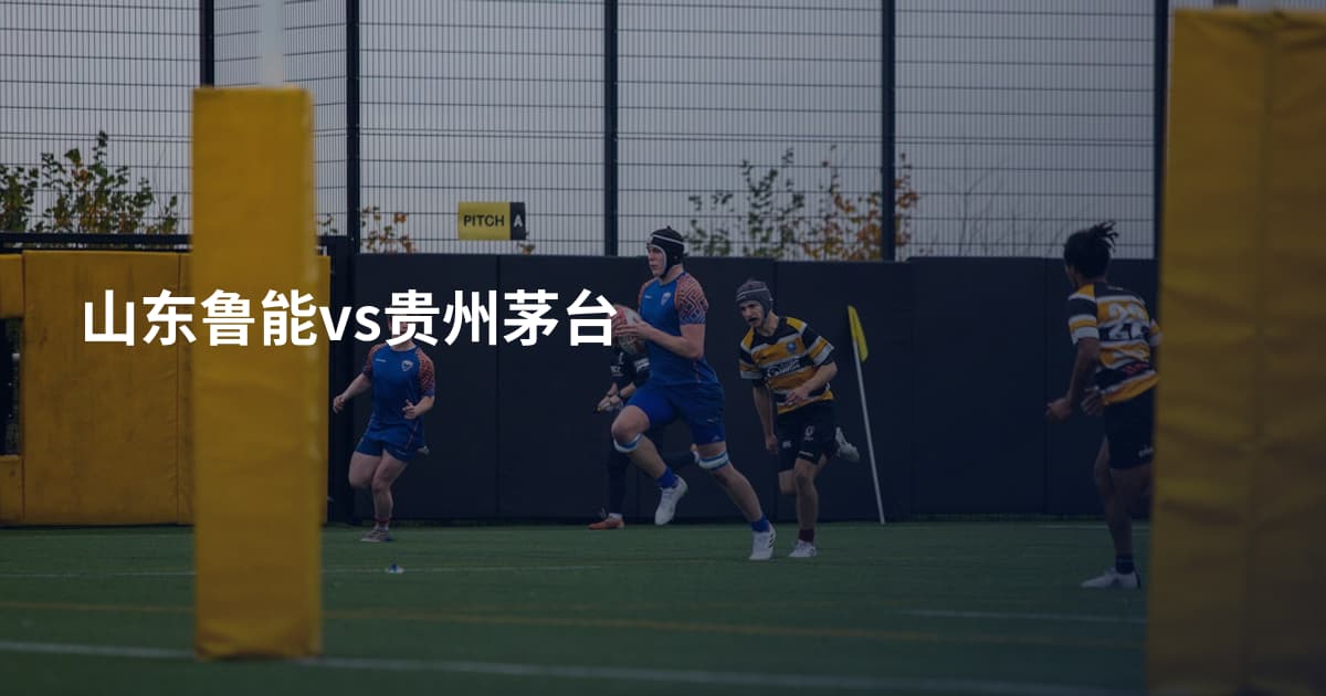 山东鲁能vs贵州茅台