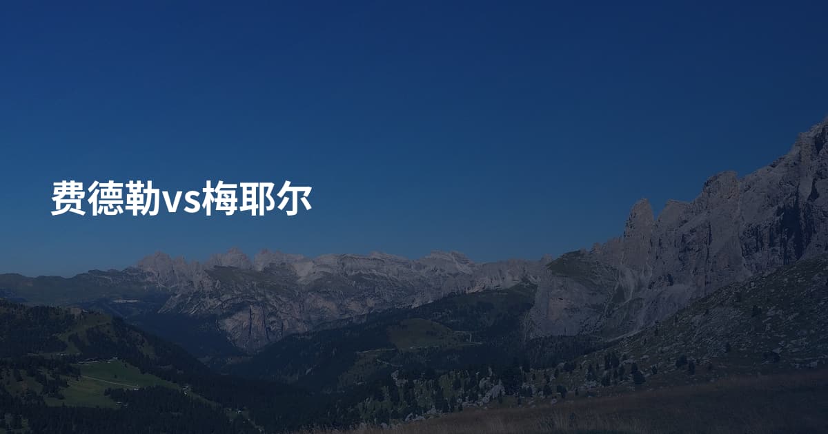 费德勒vs梅耶尔
