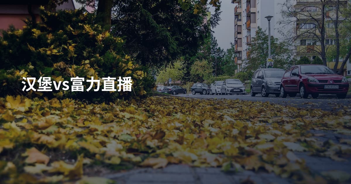 汉堡vs富力直播