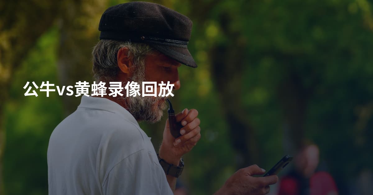 公牛vs黄蜂录像回放