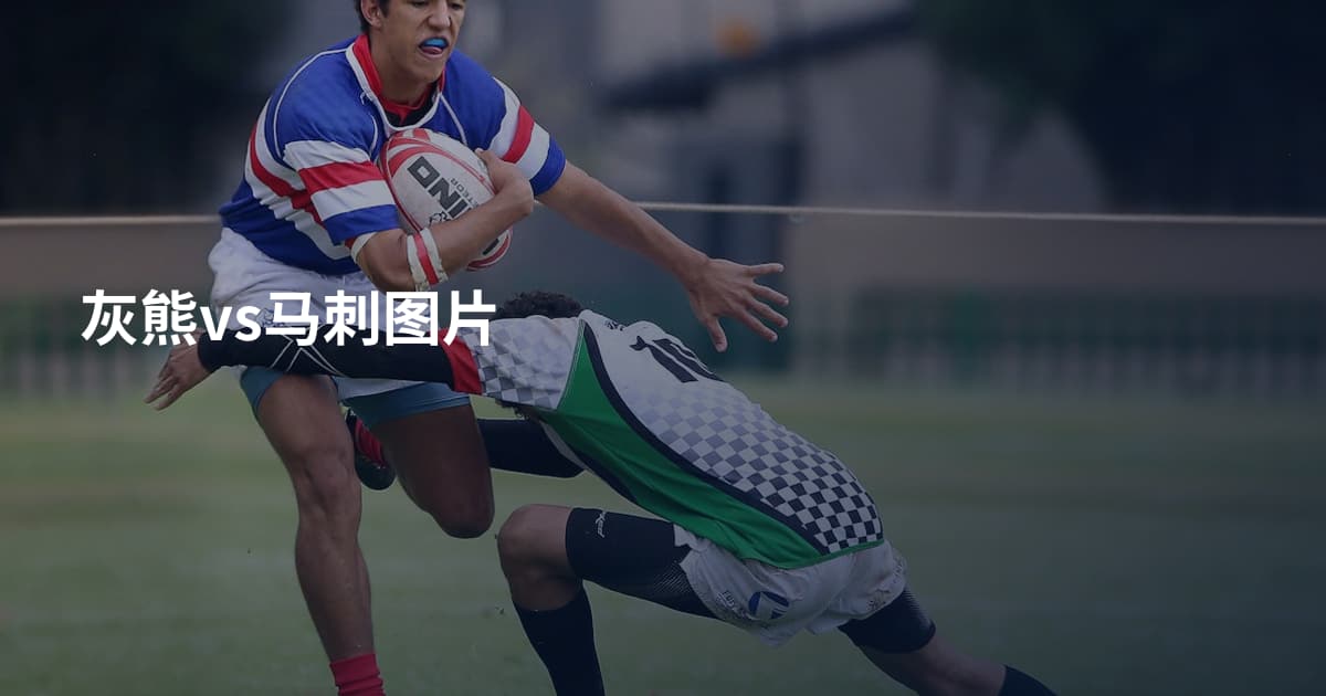 灰熊vs马刺图片