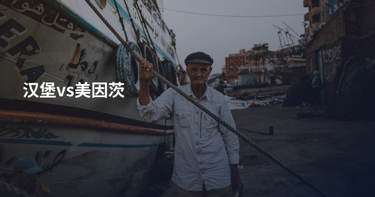 汉堡vs美因茨