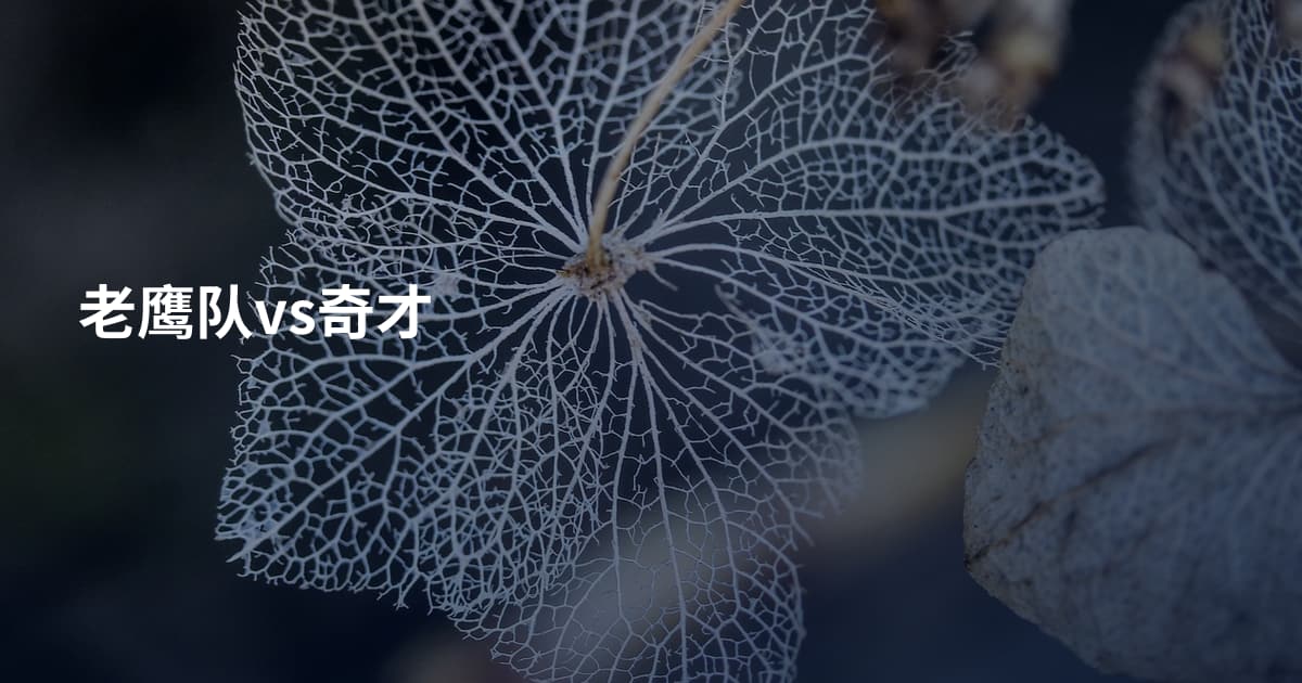 老鹰队vs奇才