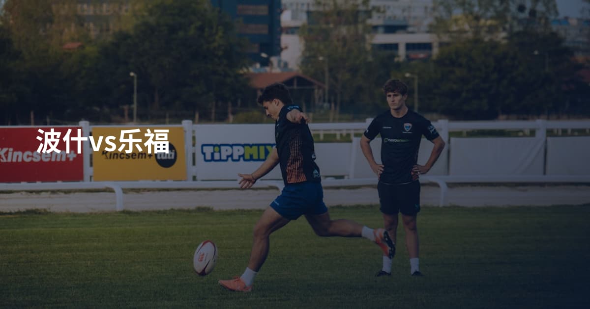 波什vs乐福