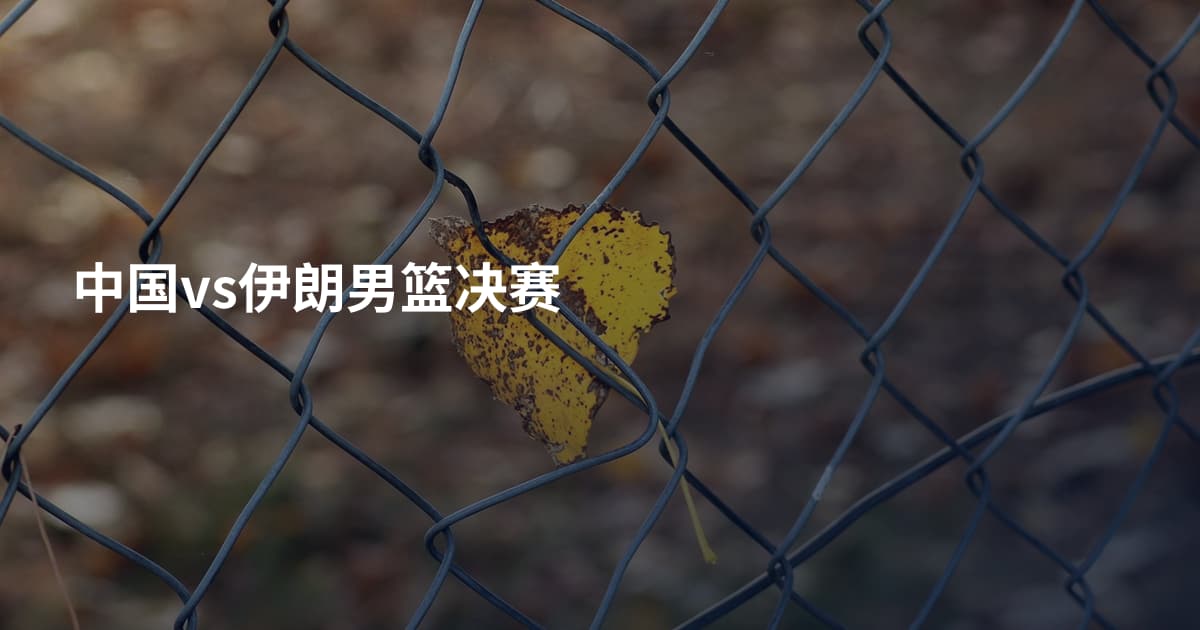中国vs伊朗男篮决赛