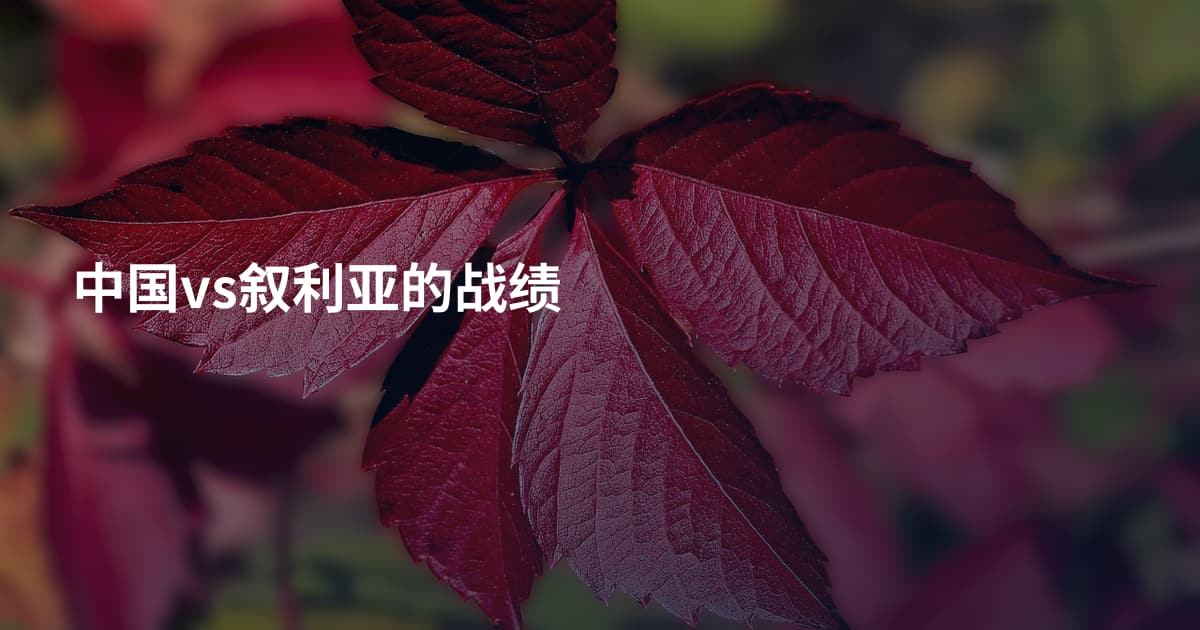 中国vs叙利亚的战绩