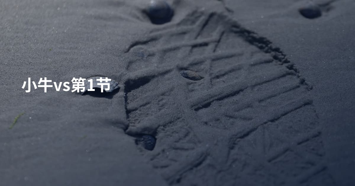 小牛vs第1节