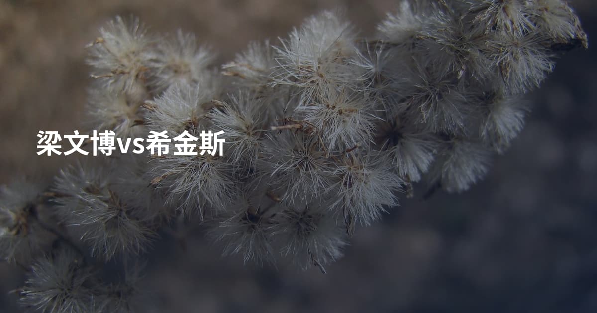 梁文博vs希金斯
