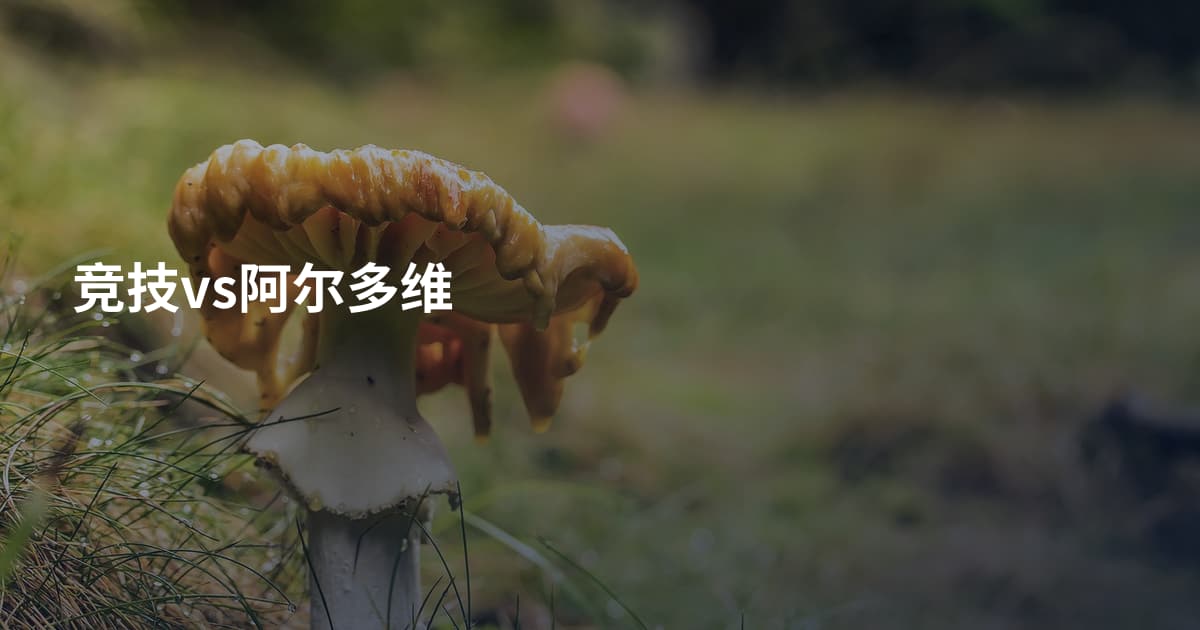 竞技vs阿尔多维