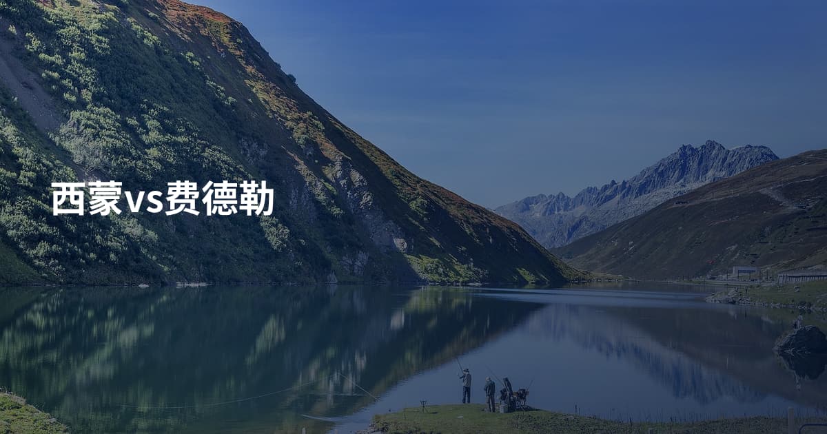 西蒙vs费德勒