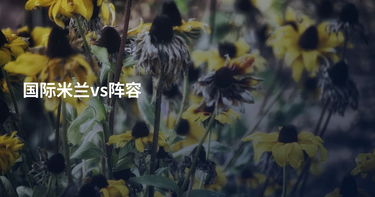 国际米兰vs阵容